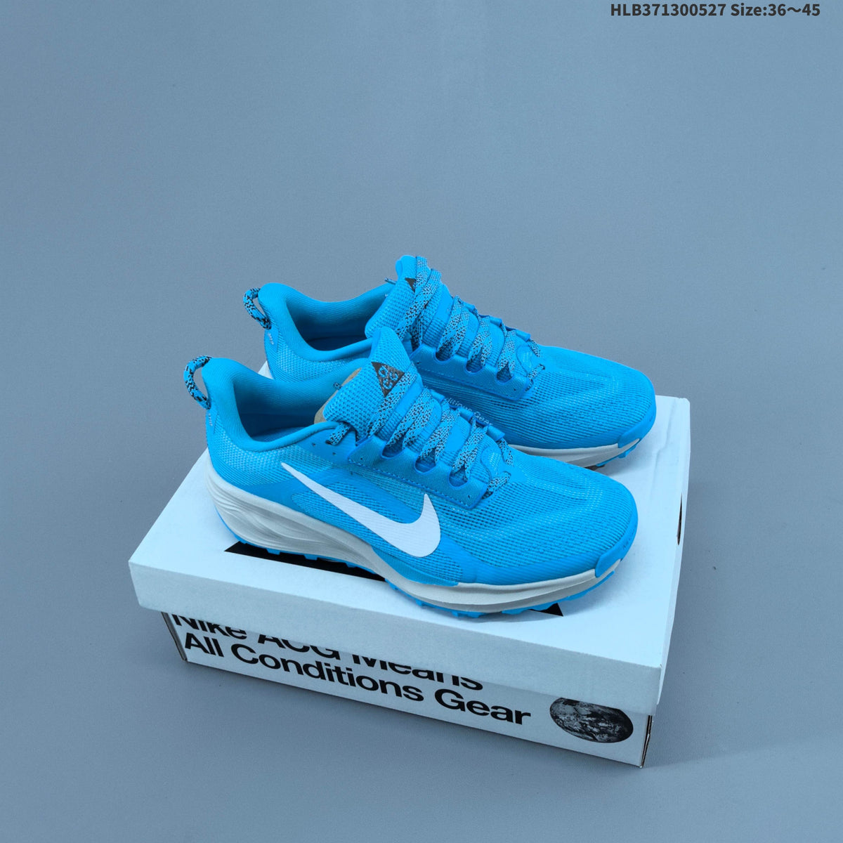 Nike ACG Pegasus Trail Shoes HV8121-103