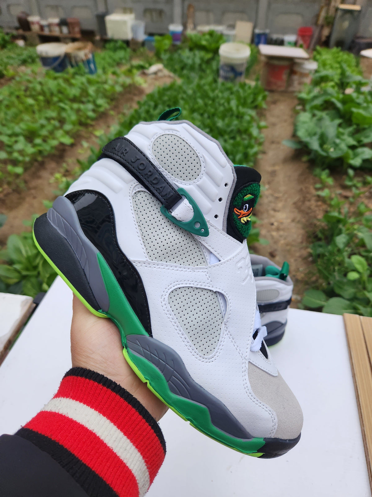 Jordan 8 High-Top Sneakers in Green, White and Grey