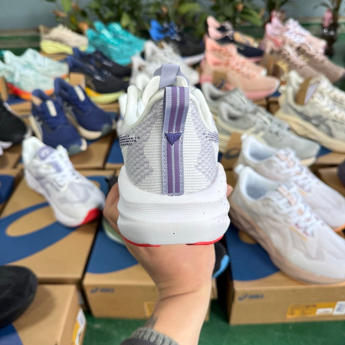 ASICS NOVABLAST 5 LE White Purple Running Shoes