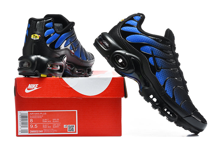 Nike Air Max Plus Black and Blue Sneakers DM0032-041
